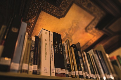 Detalhe do teto da Biblioteca do MHN