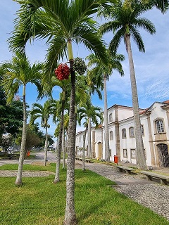 Seminário MHN 2022 terá programação cultural e científica entre os dias 12 e 14 de outubro